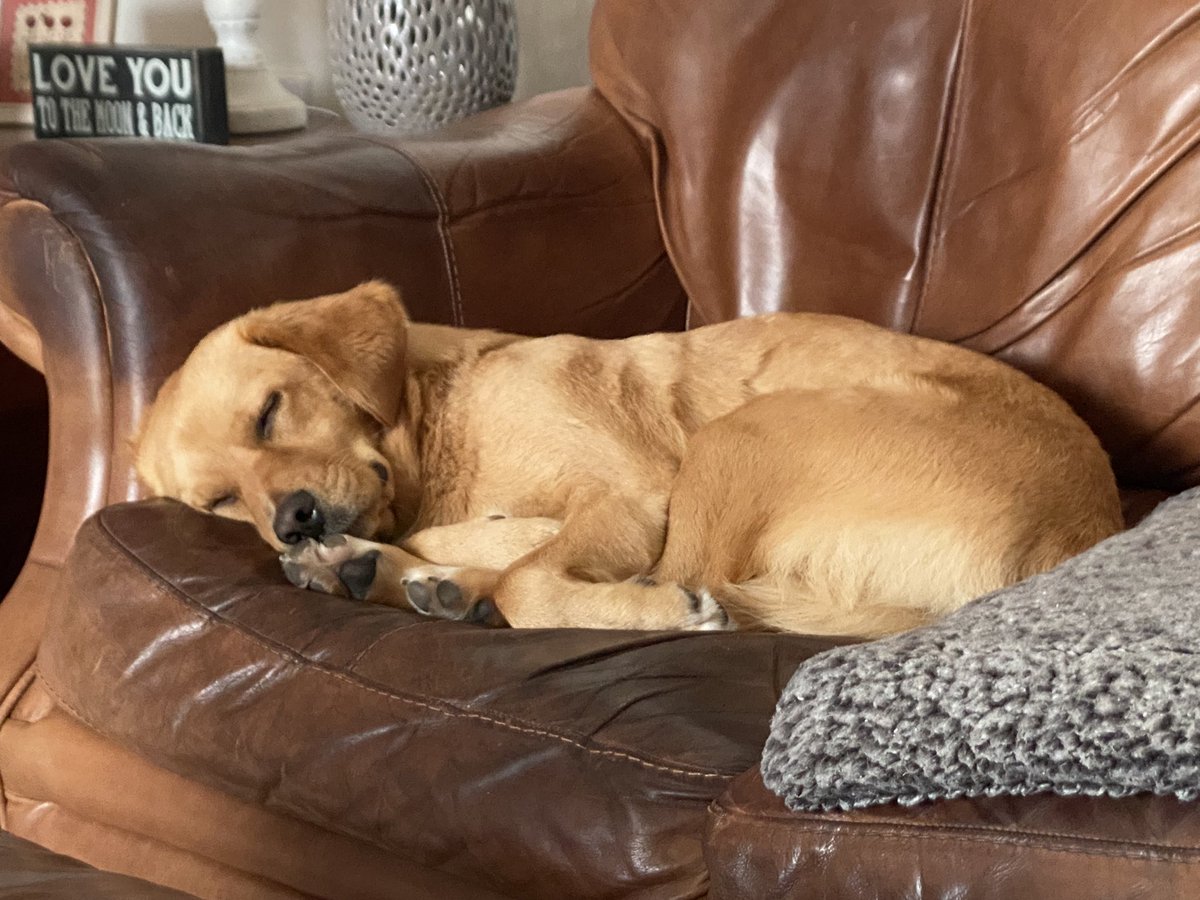 That spot in the living room where you always sit. This used to be mine! 😂