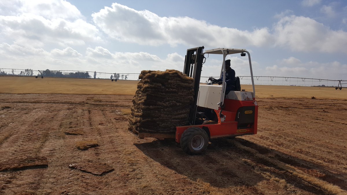 Palfinger SA tweet media