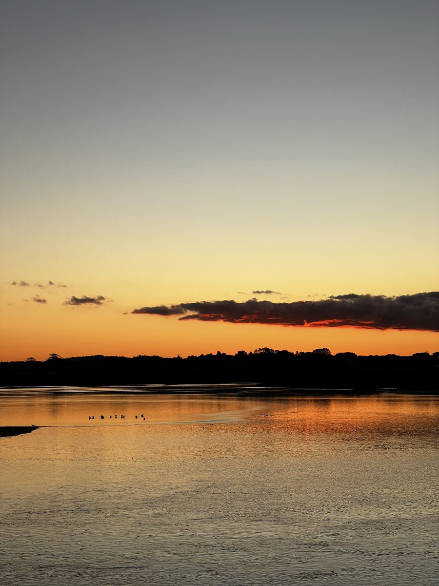 followspen's tweet photo. Thursday evening sunset #orewa #hibiscuscoast #NewZealand #nofilter 😎👌🇳🇿 https://t.co/D9iOeoDPxL