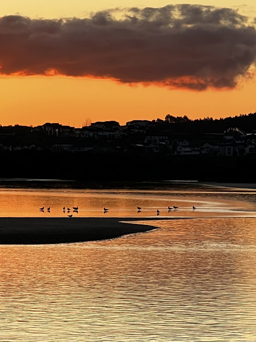 followspen's tweet photo. Thursday evening sunset #orewa #hibiscuscoast #NewZealand #nofilter 😎👌🇳🇿 https://t.co/D9iOeoDPxL