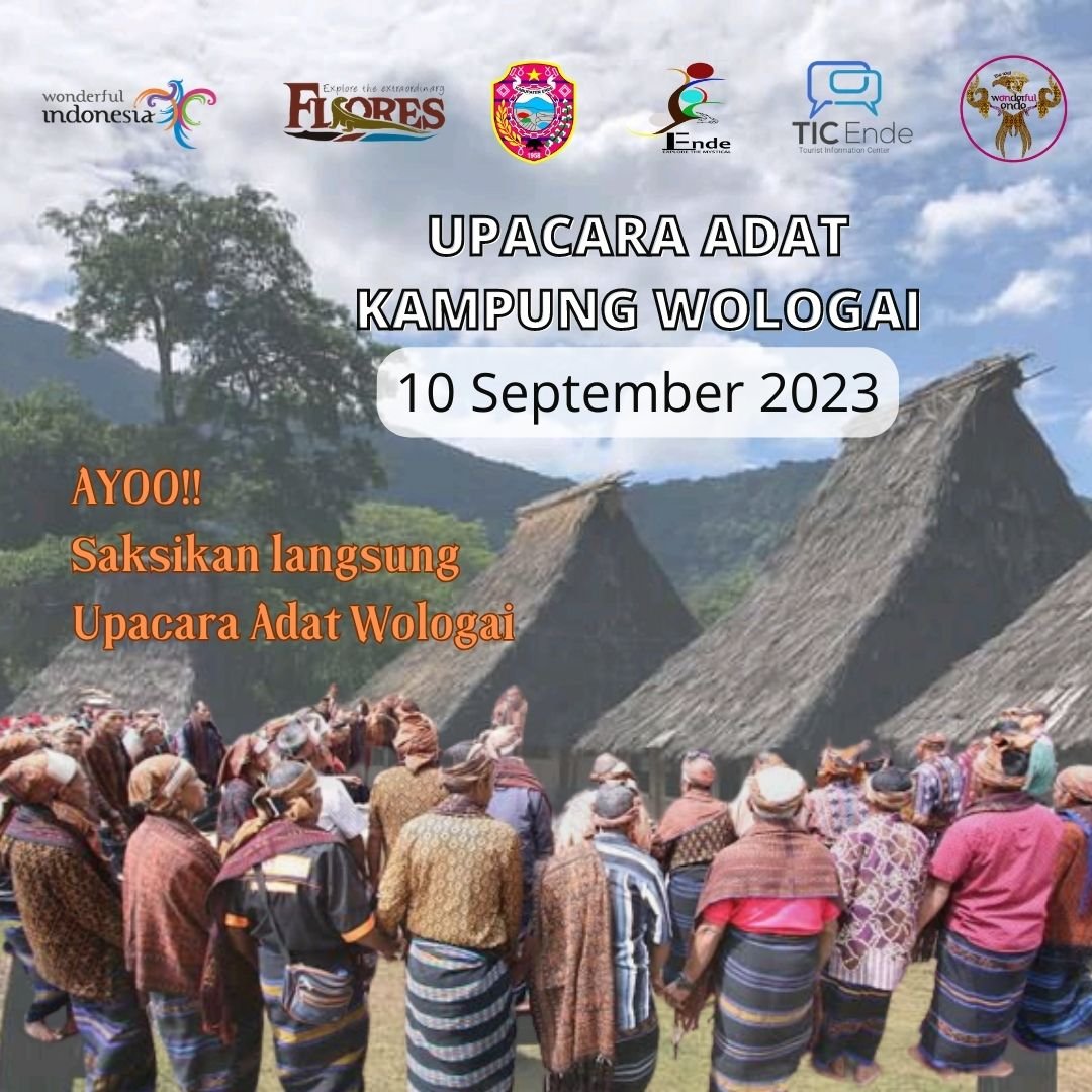 DisparKabEnde's tweet photo. Ende Lovers,
Ayo saksikan Ritual Adat Wologai

🗓 10 September 2023
📍Kampung Wologai

#connectingflores
#explorethemysthical #exploretheextraordinaryflores #endesareliopawe #wonderfulindonesia #banggaberwisatadiindonesiaaja https://t.co/Dg4seQM4Vo