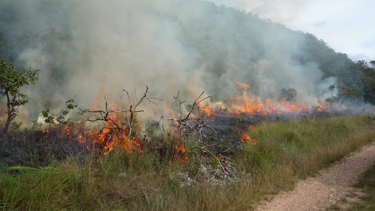 Don’t miss our #RGSIBG23 sessions ‘Governing fire across spatial boundaries’ tomorrow at 14:10 & 16:20 BST chaired by the fiery @centrewildfires @RHULGeography posse Cathy Smith @KayladeFreitas1 & Jay Mistry, the blazing @kapilyadav_1, and a line-up of scorching speakers 🔥🔥🔥