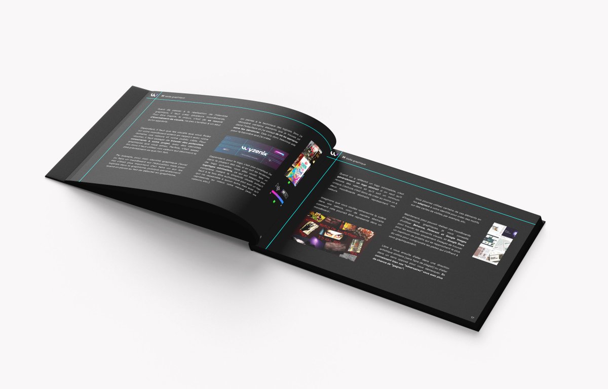 WYZENIX's tweet photo. Le guide sera bientôt disponible 👀 https://t.co/WSLFOgJw6z