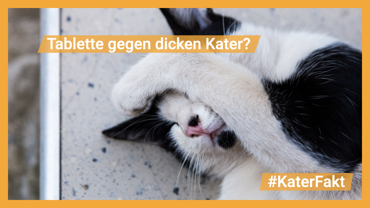 Klingt praktisch, funktioniert aber nicht. 🙀🤷
Meistens nimmt man in solchen Fällen Kopfschmerztabletten, in denen Acetylsalicylsäure enthalten ist, zu sich. Doch diese greift die ohnehin schon durch den #Alkohol gereizte Magenschleimhaut noch zusätzlich an.
#KennDeinLimit