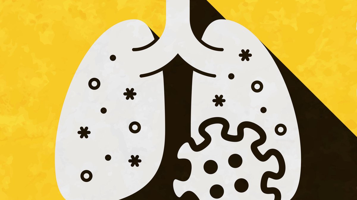 LSTM (@lstmnews) on Twitter photo Newly published <a href="/LancetMicrobe/">The Lancet Microbe</a> paper paves the way to improved #pneumococcal vaccination strategies in Malawi and beyond. Plus, new <a href="/wellcometrust/">Wellcome</a> podcast on human infection trials at <a href="/MLW_Programme/">Malawi Liverpool Wellcome Programme</a>
Details here: shorturl.at/nvTV7 Newly published <a href="/LancetMicrobe/">The Lancet Microbe</a> paper paves the way to improved #pneumococcal vaccination strategies in Malawi and beyond. Plus, new <a href="/wellcometrust/">Wellcome</a> podcast on human infection trials at <a href="/MLW_Programme/">Malawi Liverpool Wellcome Programme</a>
Details here: shorturl.at/nvTV7