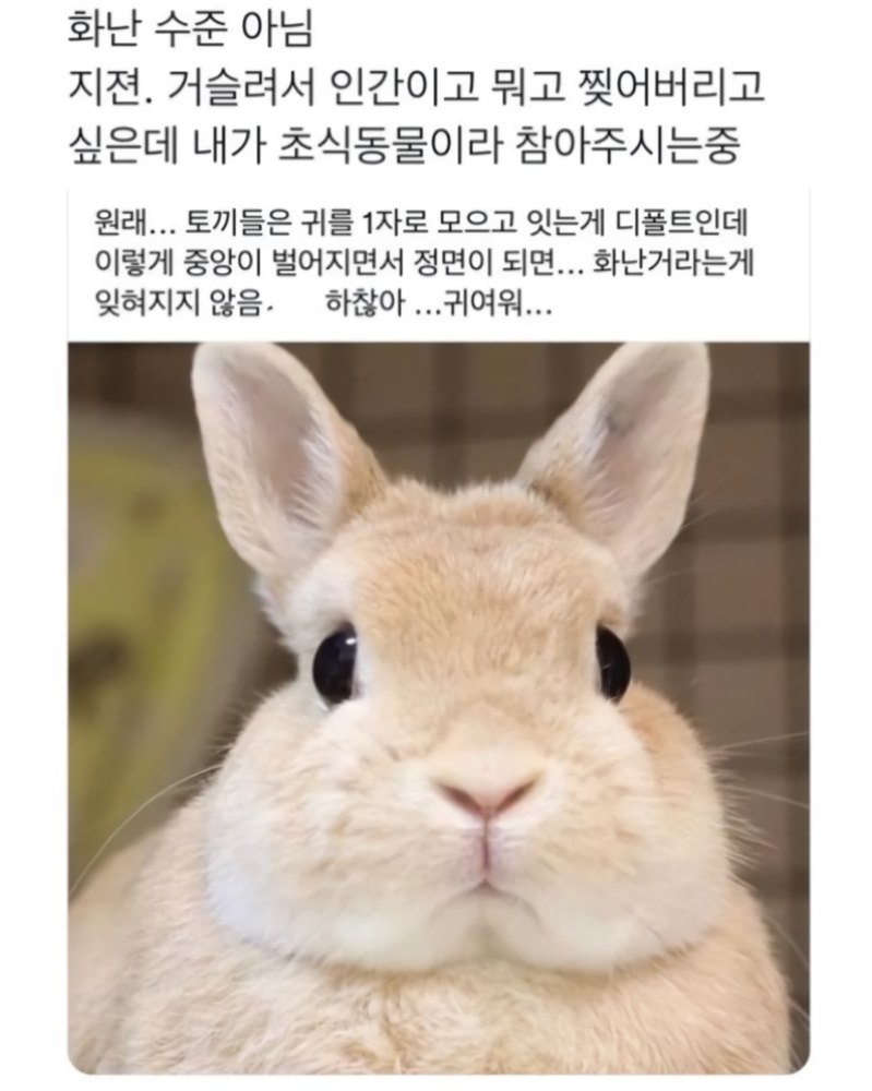 웃짤러 (@gaeuggyeo) on Twitter photo 