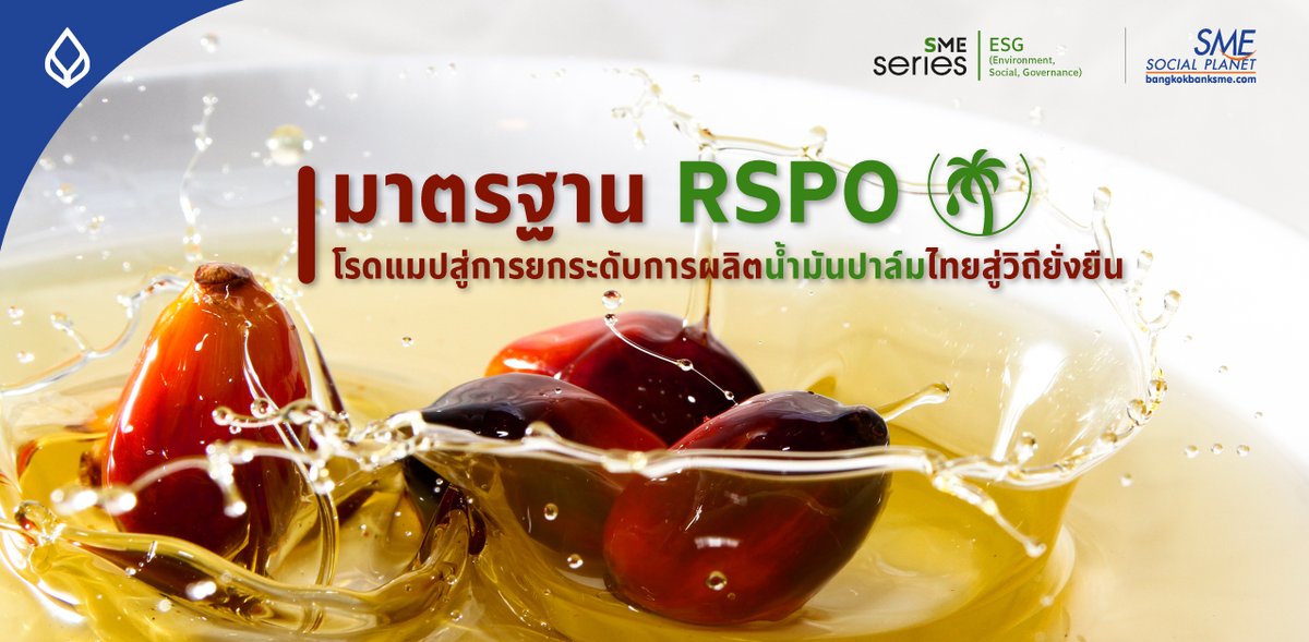 bangkokbanksme's tweet image. ทำความรู้จัก Roundtable on Sustainable Palm Oil (RSPO) โครงการนี้บทบาทสำคัญอย่างไร? เกษตรกรและผู้ประกอบการปาล์มน้ำมัน จะได้ประโยชน์อะไร? ติดตามได้ในบทความนี้..

คลิกอ่าน : bit.ly/3qRZXg8

#ESG #RSPO #ปาล์มน้ำมัน #ความยั่งยืน #Sustainability #Bangkokbanksme #ธนาคารกรุงเทพ