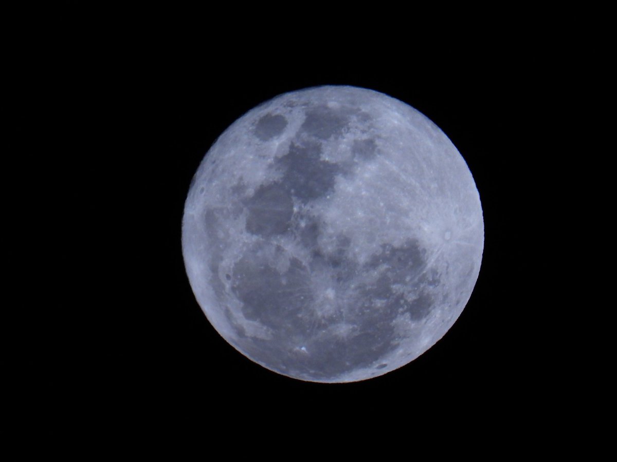 VetEnglish's tweet photo. Once in a blue moon
「ごく稀に」という意味のイディオム。特別レアなケースを比喩する言い回しで、実際にブルームーンが起こる日とは関係がない。医療現場というより普通の英会話でたまに出てくる。

ちなみに2023年8月31日、中の人が住み場所ではブルームーンが観測できる。 https://t.co/VJqWUNsSFy
