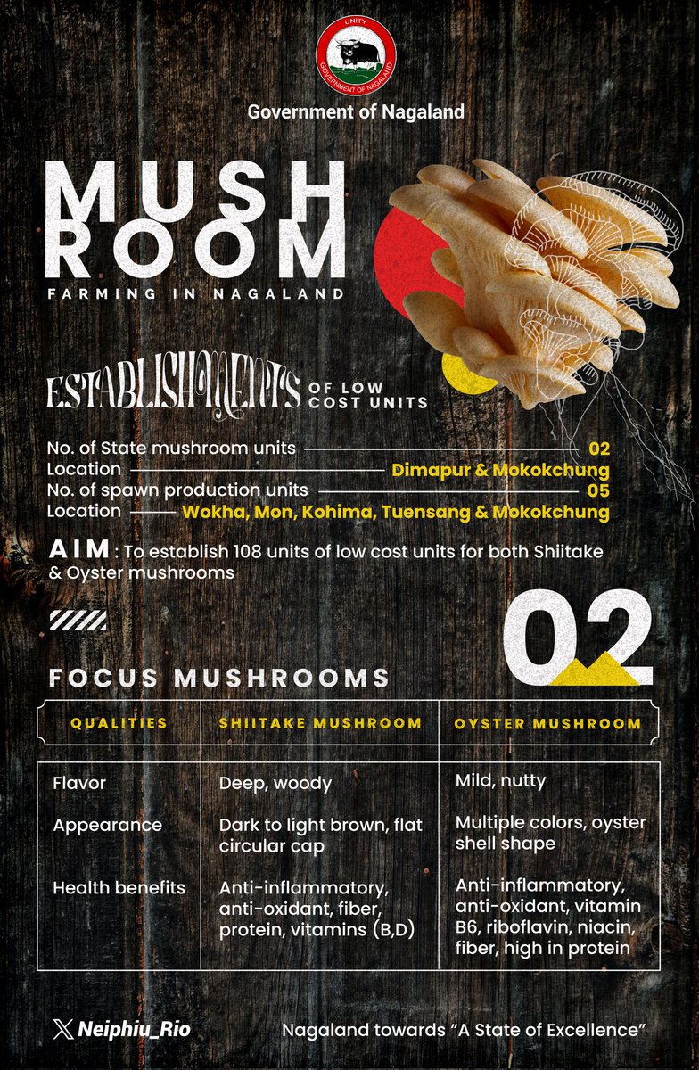 Mushroom farming is eco-friendly, self-sustaining and has the potential to be an alternative source of nutritious food. The Government of Nagaland as part of its overall agri policy is focusing on two varieties: Shiitake and Oyster mushroom. #KnowYourGovernment <a href="/horticulturengl/">Horticulture Department Nagaland</a>