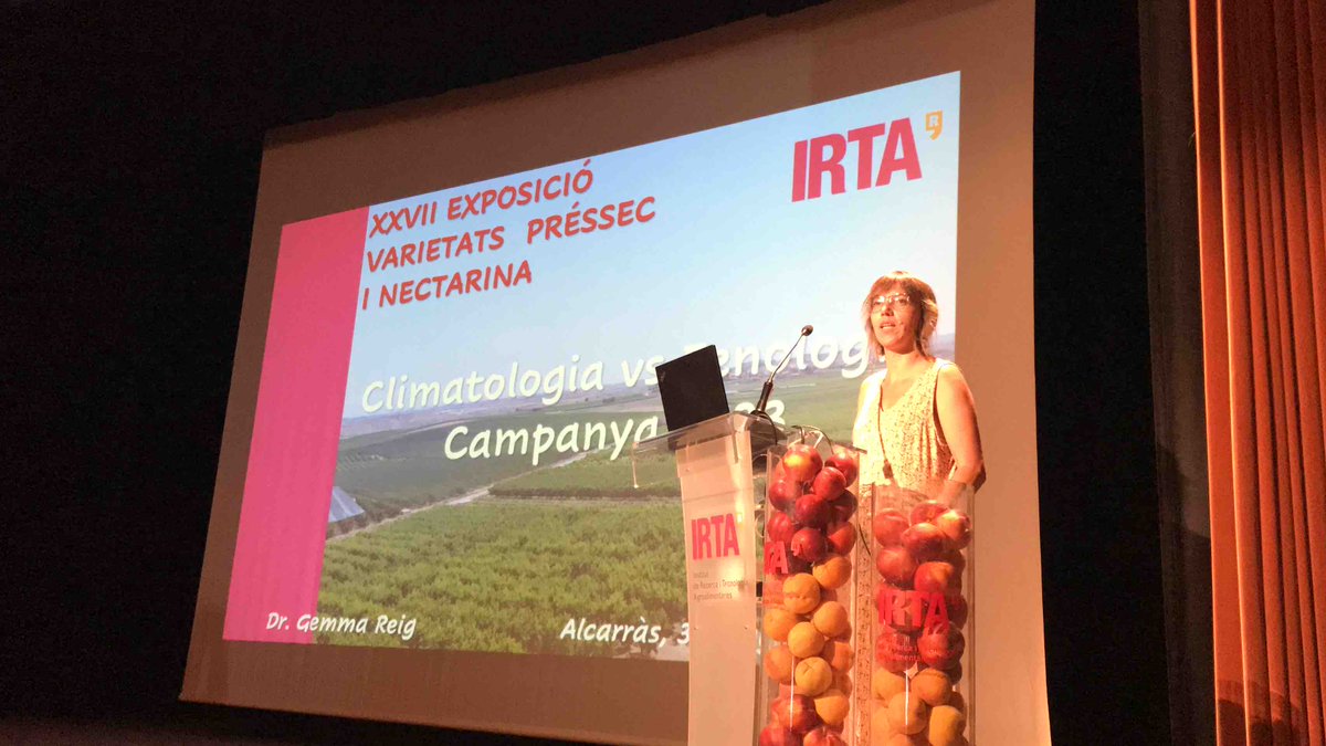 irtacat's tweet photo. L’alcalde de l’@AjAlcarras, Gerard Companys, i el cap de #Fructicultura de l’IRTA, Luis Asín @luisasinjones, han inaugurat la XXVII Exposició de varietats de Préssec i Nectarina. 🍑

Un repàs de la climatologia de la campanya 2023 ha donat el tret de sortida. 
🧵 👇 https://t.co/b8bd66cjtK