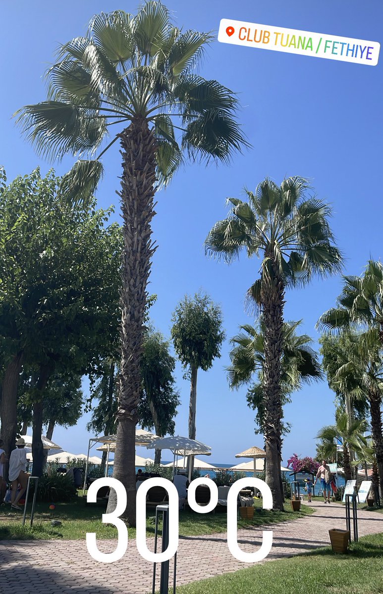 A very nice Thursday in the sun <a href="/podnel67/">P OD</a> 🌞🥂