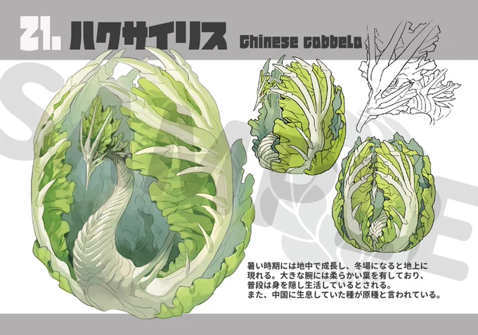 野菜の生態図鑑『新ベジタリオン図鑑』
描いてます🍅
果物もいるよ

 #野菜の日 