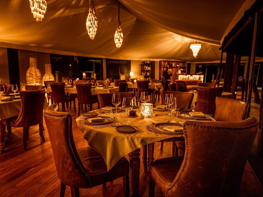 OngeriSafaris's tweet image. Built along the Talek River at the heart of Masai Mara, Ishara is not only luxurious but designed to give an immersive experience of what is arguably the  world’s greatest wildlife reserve. The camp is connected by several elevated bridges which give astonishing views of the…