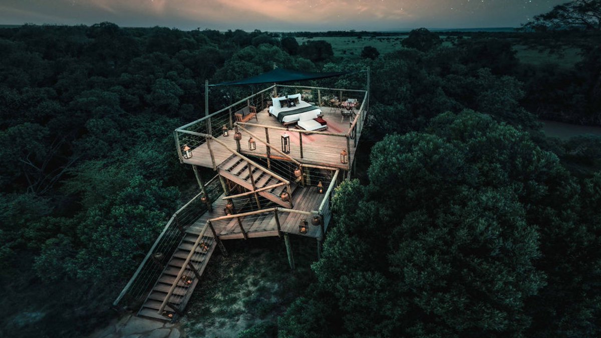 OngeriSafaris's tweet image. Built along the Talek River at the heart of Masai Mara, Ishara is not only luxurious but designed to give an immersive experience of what is arguably the  world’s greatest wildlife reserve. The camp is connected by several elevated bridges which give astonishing views of the…
