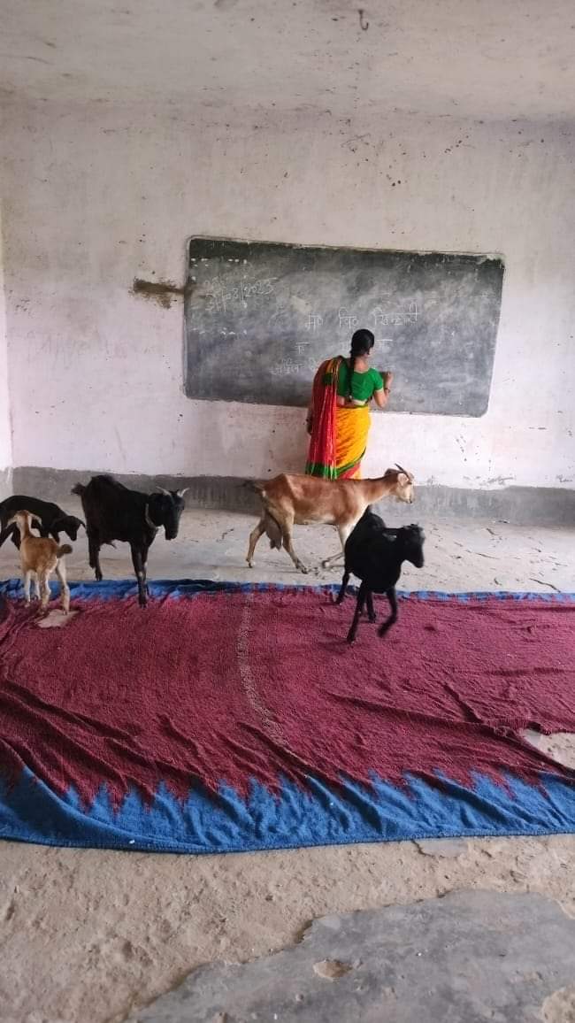 rajtet4321's tweet photo. छात्र नहीं आये तो क्या हुआ...
शिक्षा सबको मिलनी चाहिए
😜😛😂🤣
@NitishKumar @yadavtejashwi https://t.co/aX2jS8uwam
