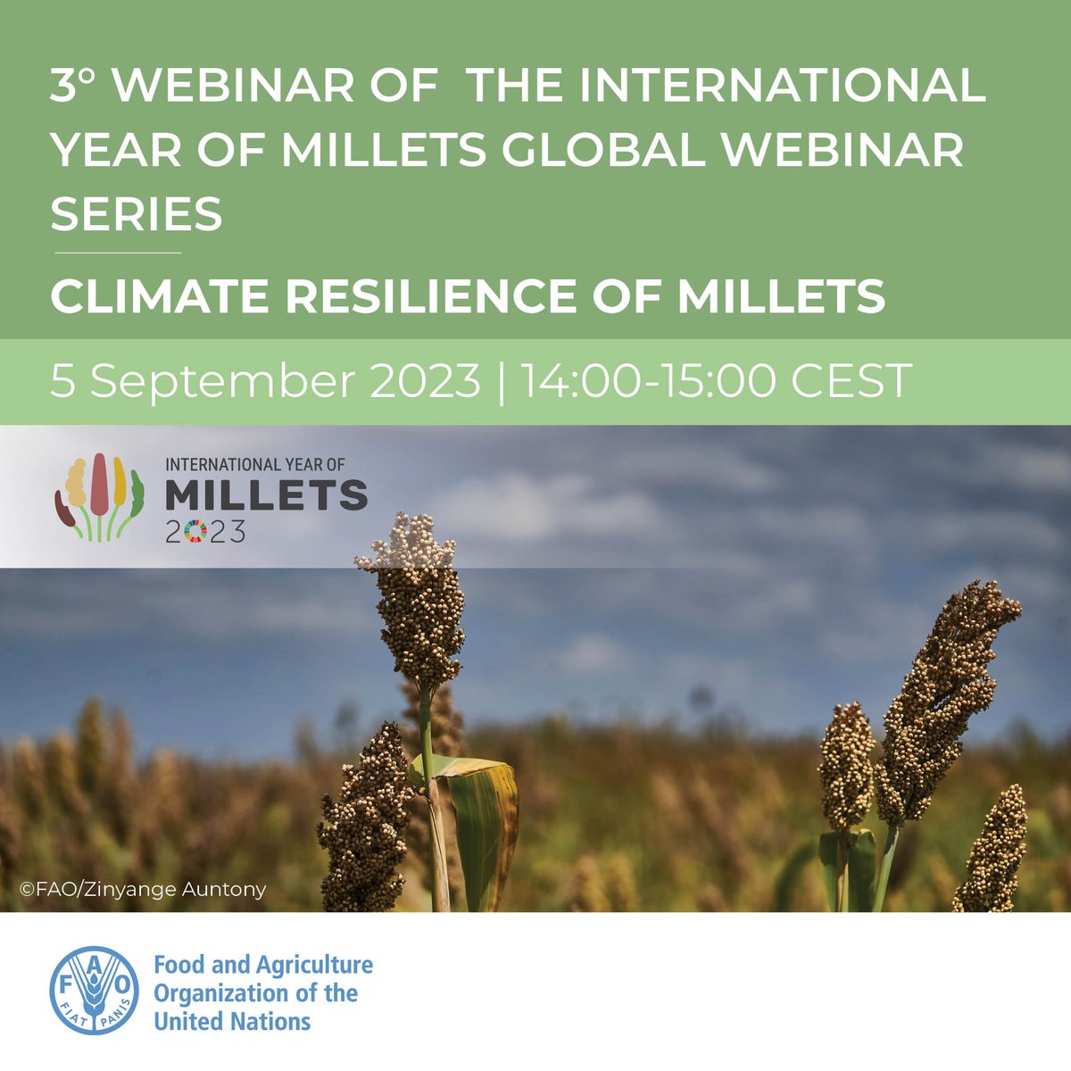 FAOKnowledge's tweet photo. Millets can be grown in high temperatures &amp; with little water. They are known to yield grain when other crops fail in extreme weather.

💻Join our free webinar to learn more about the climate resilience characteristics of millets👉 https://t.co/S0Fe5Xwt1F

#YearOfMillets #IYM2023 https://t.co/yBcYzv0rkA