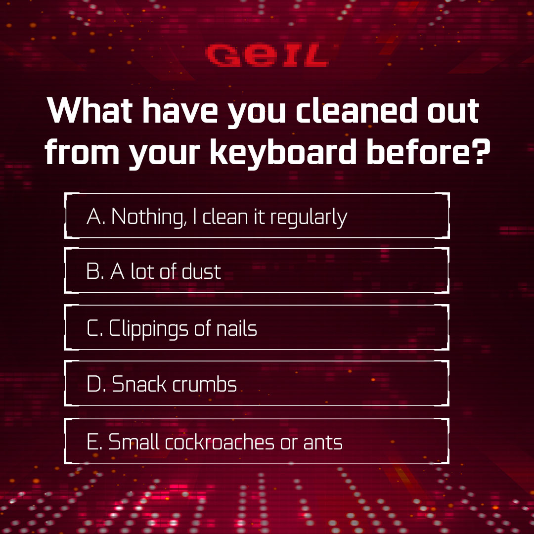 GeILMemory's tweet photo. What have you cleaned out from your keyboard before?
A. Nothing, I clean it regularly.
B. A lot of dust.
C. Clippings of nails.
D. Snack crumbs.
E. Small cockroaches or ants.
#Poll #questions #computer #pc #gamer #geek #Clean #Keyboard #PClife #dust #nails #crumbs #cockroaches https://t.co/JAIBtIdcwa