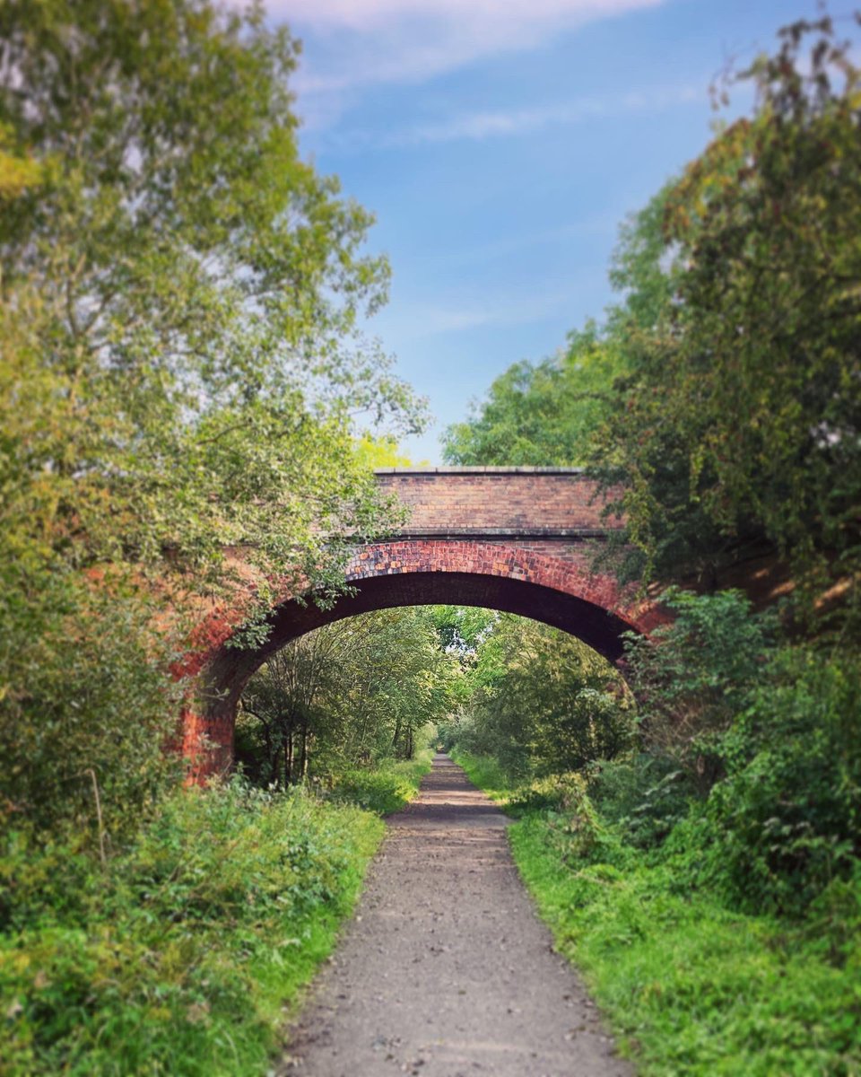 Gorgeous morning run!👊🏻 #sunshine #running #trailrunning #motivation #happydays #mindfulness #wellbeing