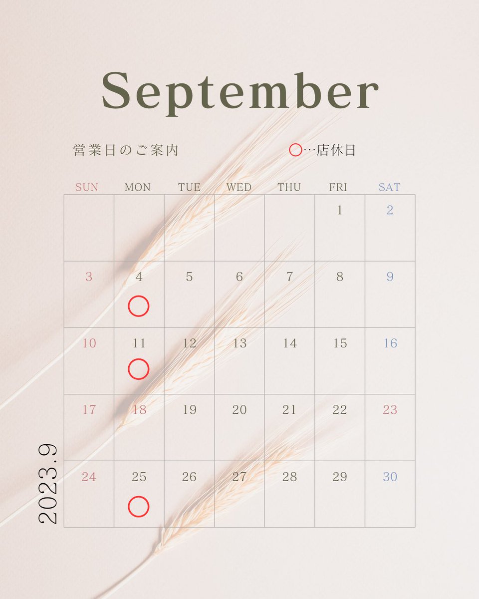 OrdinaireChoco's tweet photo. 【営業日のお知らせ】

現在オルディネールショコラは不定休で営業しておりましたが、
9月から当面の間、祝日を除く毎週月曜日を定休日とさせていただきます。

また、営業時間も変更となり、
11:00〜18:00までとなります。

お客様にはご迷惑をおかけいたしますが何卒よろしくお願いいたします🙇‍♂️ https://t.co/m1BcUlL46X