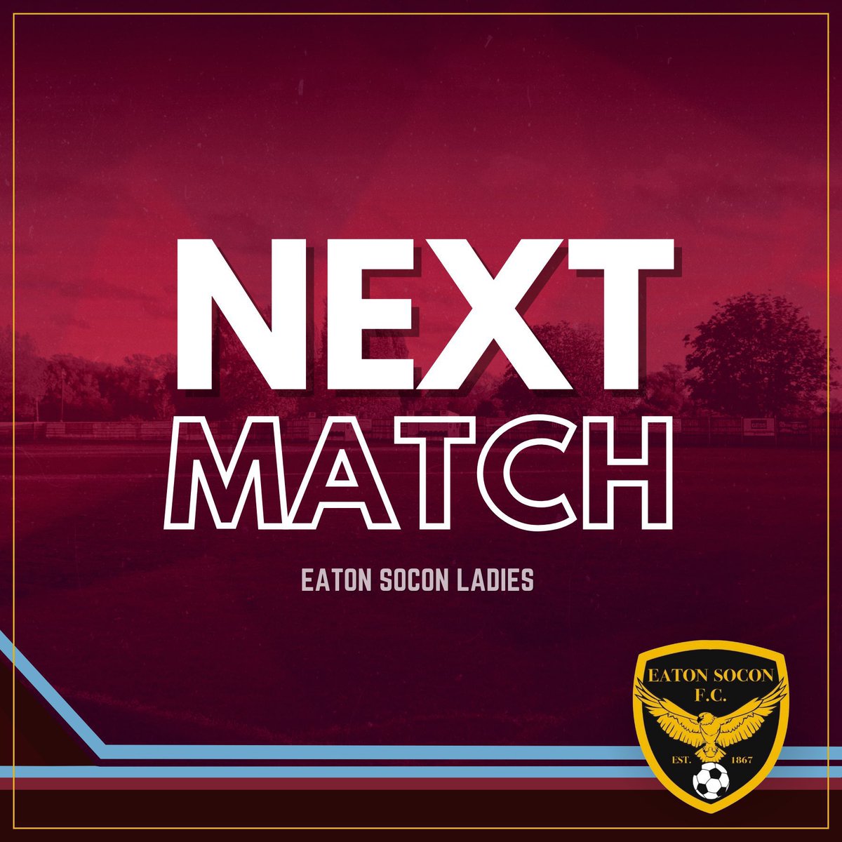 The Eagles play their last pre-season fixture this Sunday. We look forward to playing Godmanchester Ladies - should be a good game! 

The season starts next weekend on the 10th of September - @cambswgleague.

🆚 <a href="/GoddyLadies/">Goddy Ladies</a> 
📅 Sun 3rd September 2023
⚽️ 2pm KO
📍PE29 2LQ

🦅🦅🦅