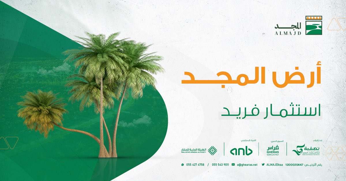 المجد tweet media