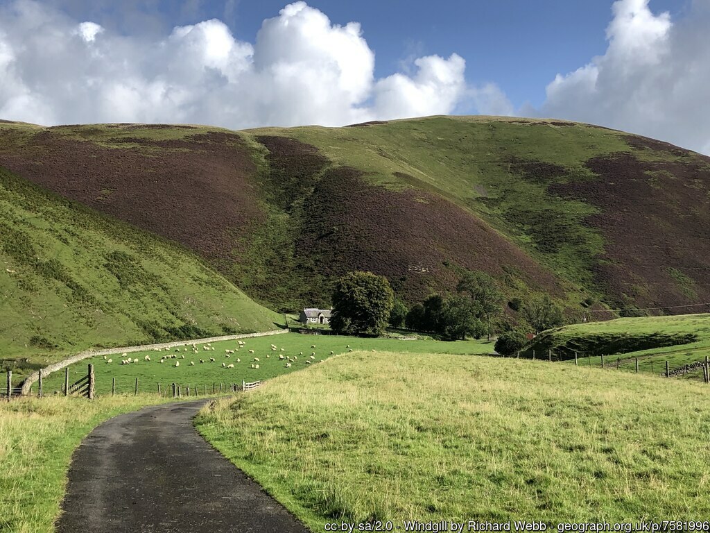geograph_bi's tweet photo. Tuesday #SouthLanarkshire
#Windgill #CowGill #KnoweDod #hill #latesummer https://t.co/FiqQeAytpq by Richard Webb https://t.co/Echw7iFHrZ