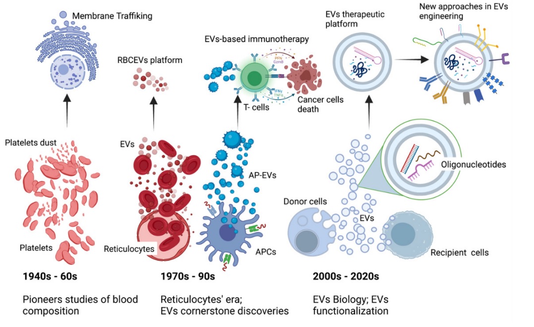 Want to know more about the history of #extracellularvesicles? Check out this nice overview:

The Long Journey of Extracellular Vesicles towards Global Scientific Acclamation apb.tbzmed.ac.ir/Article/apb-36…