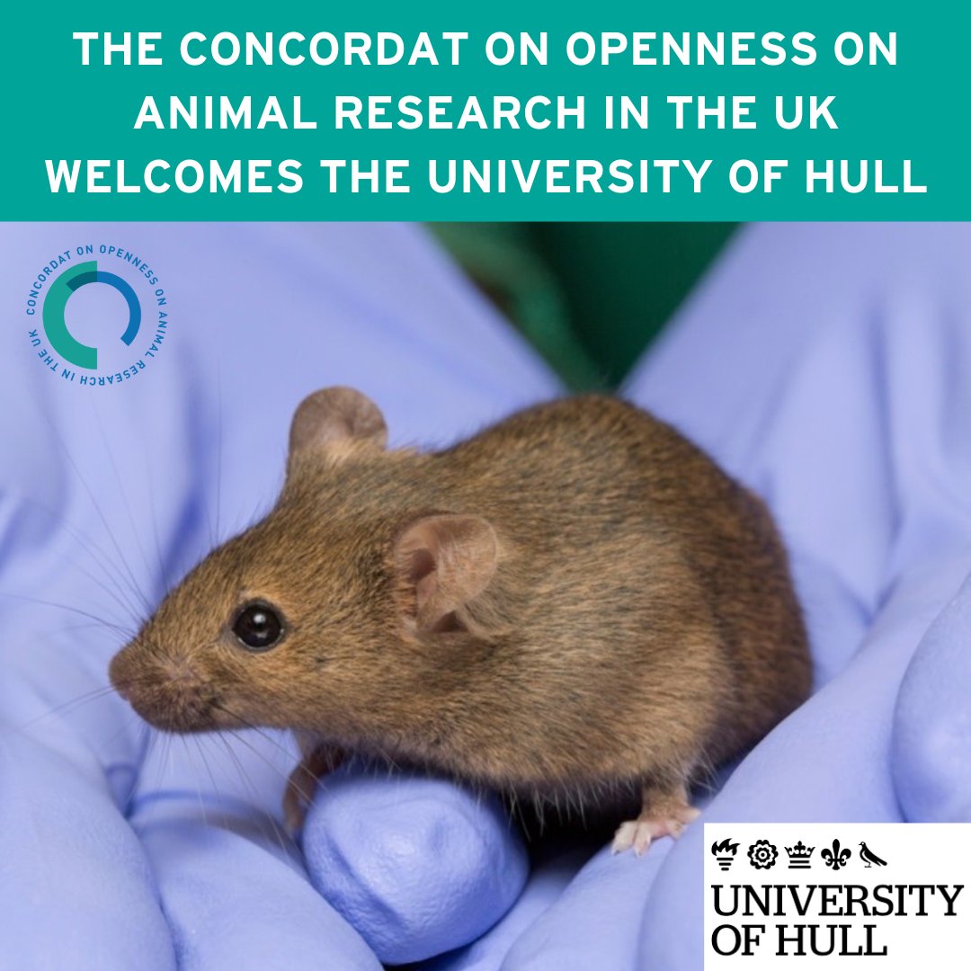 animalresearch's tweet image. Welcome to @UniOfHull our latest #ConcordatOpenness on #AnimalResearch signatory! 🎉 

Concordat on Openness Signatories have pledged to be open about their research using animals.  

Read more about the University of Hull&apos;s animal research here:
hull.ac.uk/work-with-us/r…