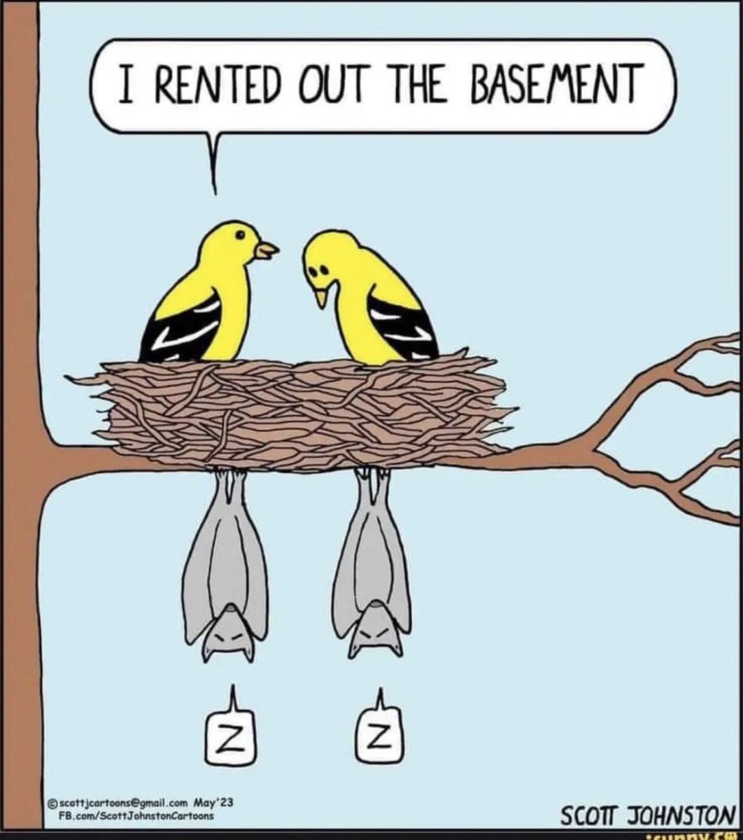 The baTsement