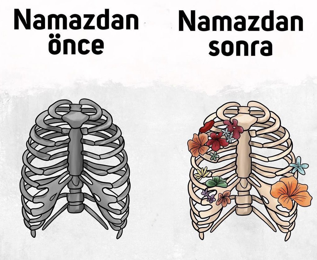 hayalhanemersin's tweet photo. Namazdan önce / Namazdan sonra https://t.co/qZUptOvf9H