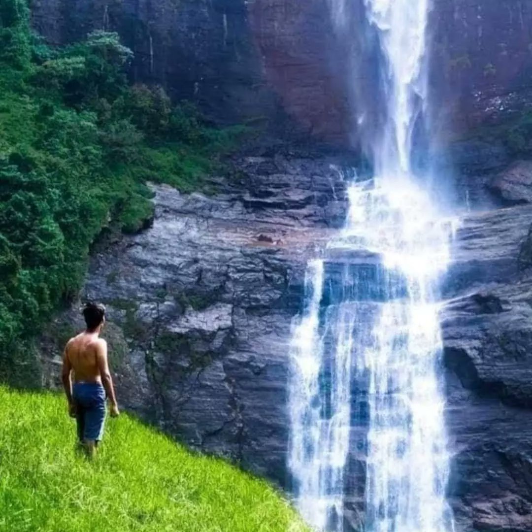 rahman62191's tweet photo. Pleasure of the pearl sri Lanka come enjoy our nature we'll give the best hospitality call for your reservations. https://t.co/Jfi50DfTL7