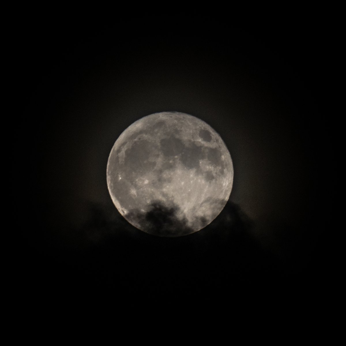 なかなか雲🌨が多いですが満月が綺麗です🌕
雲がかかっていても中々雰囲気が有って、
ゴリラフランケン様もお喜びだ！✨🦍🌕✨
#ゴリラフランケン
#moucoyama
#もうこやまの世界
#墓場の画廊