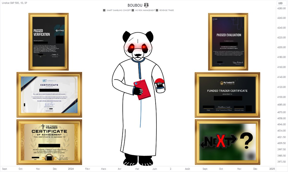 Boubou 🐼 tweet media