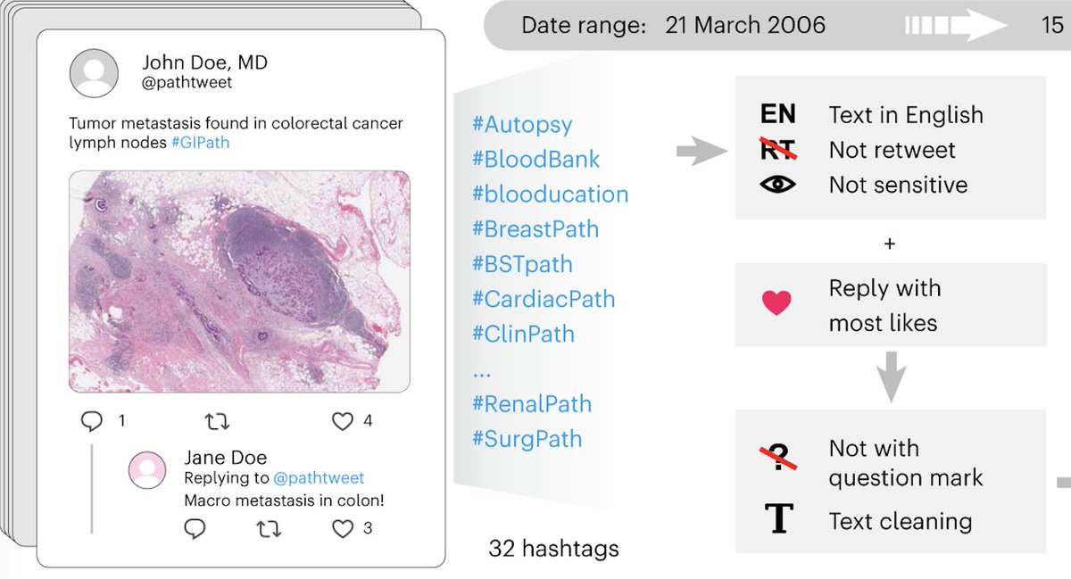 面白い！！！
　
｢Twitter（X）から20万枚の病理画像セットを構築し医療AIを作成｣
 
･ 医療用 Twitter などから画像収集
･ 自然言語の説明と組み合わせた 約20万枚の病理学画像のデータセットOpenPathを構築
･ そこから病理言語画像モデルを開発
･ 医療AI開発に有用
 
nature.com/articles/s4159…