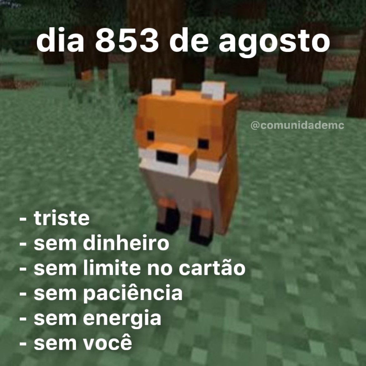 Comunidade de Minecraft on X:  / X