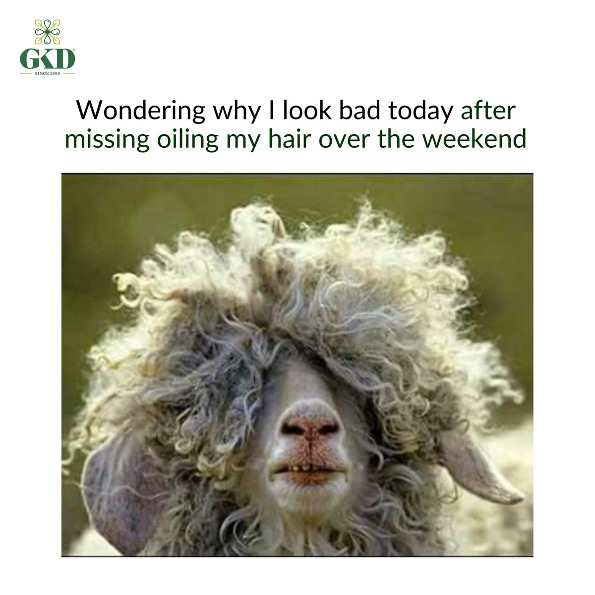 gkdconsumercare's tweet photo. What is your weekend selfcare routine?

.
#meme #trendingmeme #HaircareHumor #chemicalfree #nourishment #haircare #gkd #gkdconsumercare #CoconutHairOil #mineralhairoil #haircaretips #goodhairday #stronghair #shinyhair #silkyhair #smoothhair #nonstickyhair #gkd https://t.co/TuEc9jwv1N