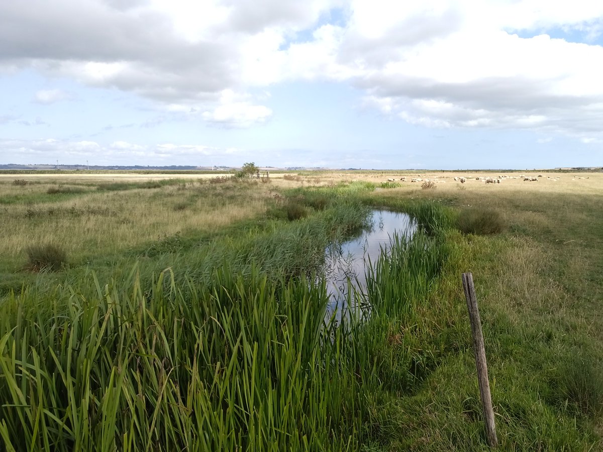 Lower Medway Internal Drainage Board tweet media