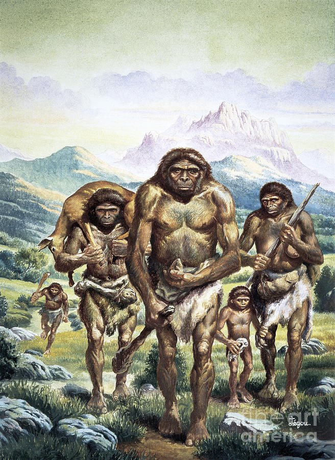 lapepubblica's tweet photo. Rolling Stones in 38000 b.C. https://t.co/XGbYKFUeGG