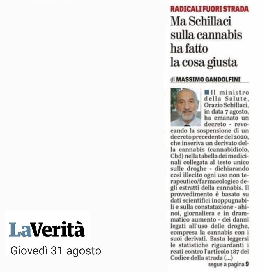FamilyDayDNF's tweet photo. Massimo #Gandolfini su @LaVeritaWeb:
Ma #Schillaci sulla #cannabis ha fatto la cosa giusta
#CBD
#cannabidiolo https://t.co/yFukk3N0h4