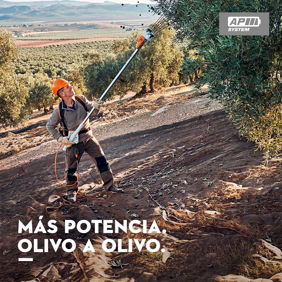 stihl_es's tweet photo. ¿Aún no has visto nuestro nuevo vareador de batería SPA 130 en acción? Descubre sus prestaciones y rendimiento profesional. Calidad PREMIUM STIHL para recoger el 100% de la cosecha. https://t.co/7uAU4IDPRp

#olivar #bateria #profesional #rendimiento #nuevo #vareador #STIHL https://t.co/VwNGROr8n7