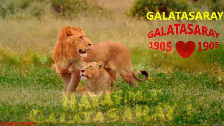 Haşim Arslan (@haimars48036306) on Twitter photo 