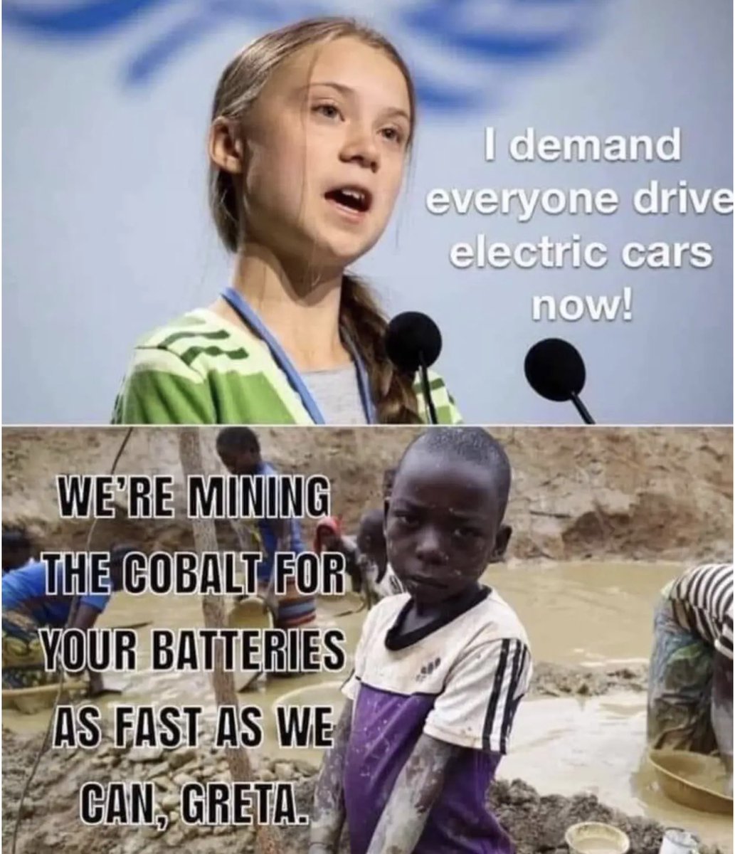 HrDingsMitHund tweet media