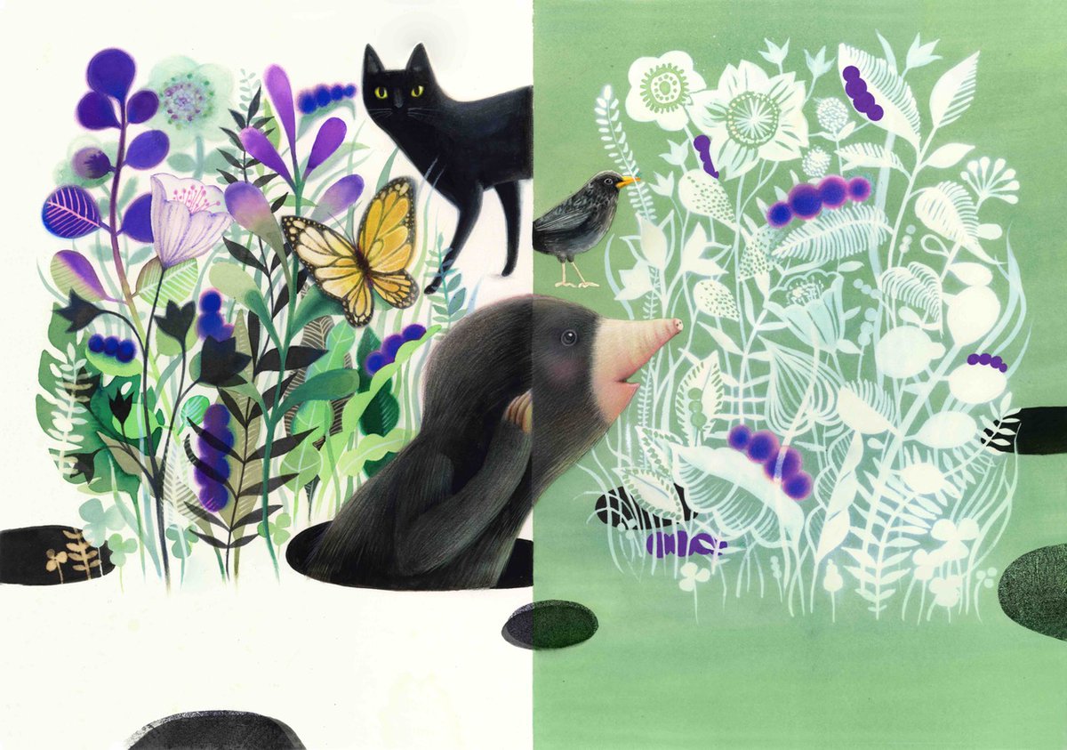 IllustrationZone tweet media