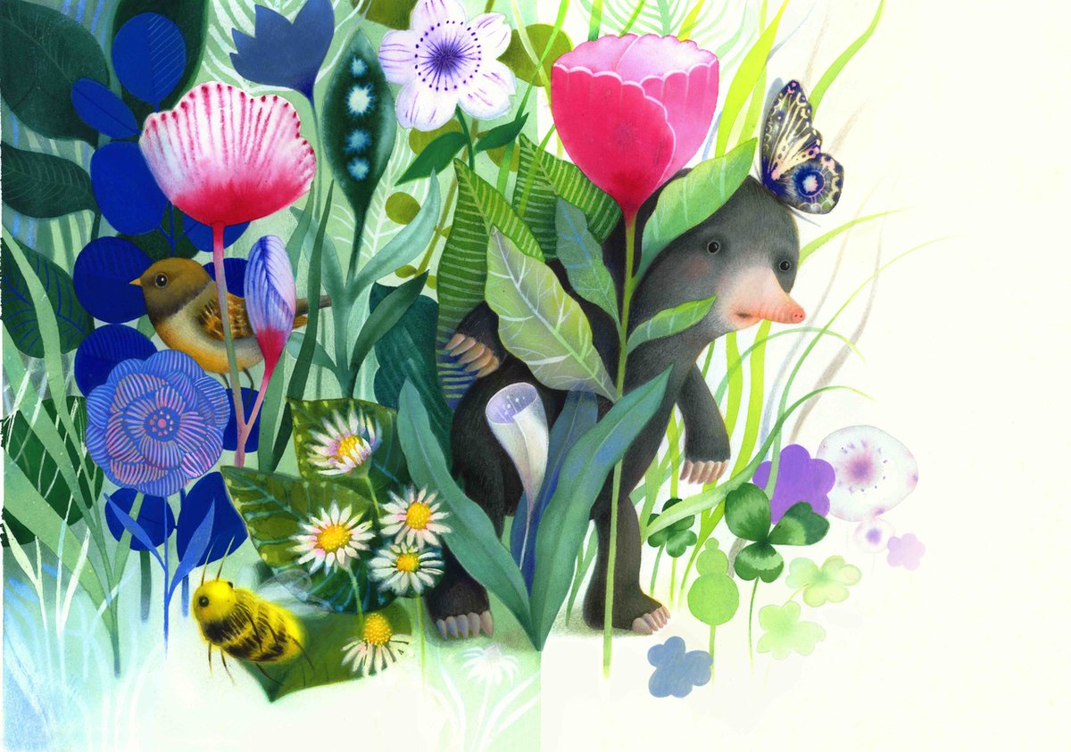 IllustrationZone tweet media