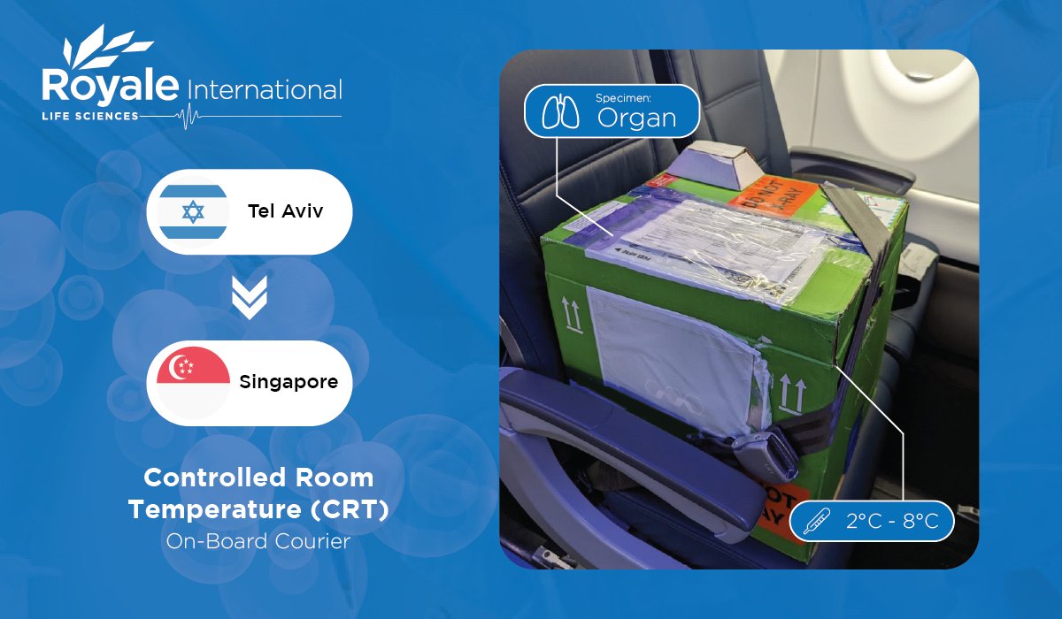 royalegroup's tweet photo. Another successful organ donor shipment from Tel Aviv to Singapore with our On-Board Couriers!
Our packaging solutions support various temperatures to mitigate supply chain risk for biopharma products.
#MakeItHappen2023 #Biopharma #OnBoardCourier #LogisticsSolutions https://t.co/pCxqMSb17p