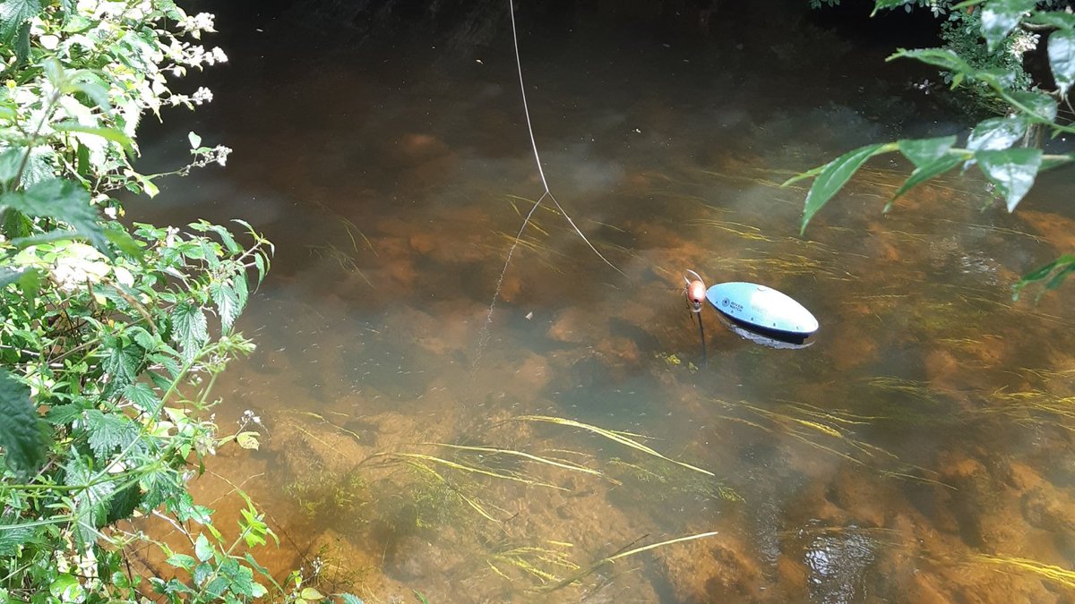 @ResearchIFI hosted River Watch - to discuss IFI's live monitoring of water temperature, dissolved oxygen, conductivity, pH and Turbidity... Meet the mighty WAKA ! riverwatchsolutions.com/solution/the-w… @EPACatchments @InlandFisherIE @Dept_ECC #waterquality #fish