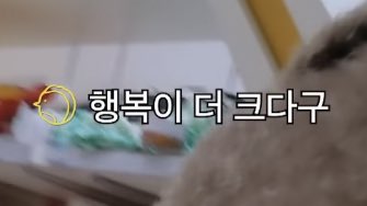 b1nr_'s tweet photo. ㅜㅜ 자막에 그림 뷰ㅏ https://t.co/IrappEl54Y