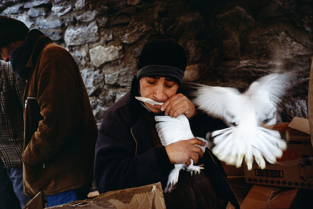 MagnumPhotos tweet picture