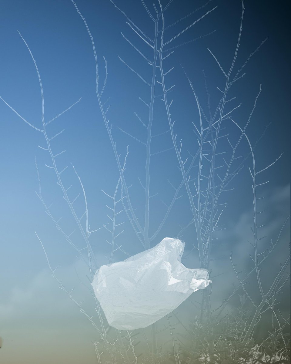 LOOK! MAPh Members’ prize WINNER ANNOUCEMENT!!
Congratulations 

Fashion category winner Sophie SMITH
Landscape category winner Hilary WARDHAUGH