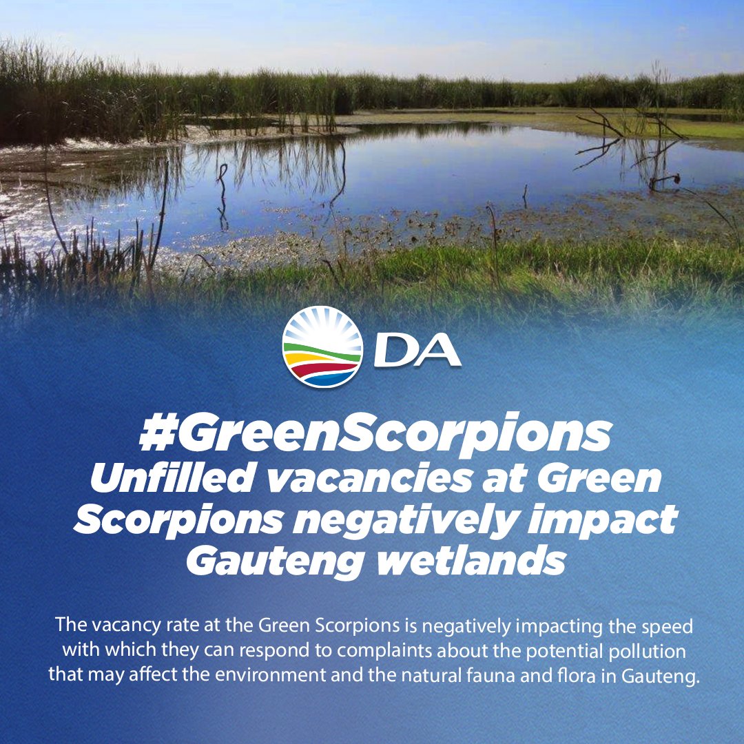 DA_GPL's tweet photo. ๐ฑ The Green Scorpions play a crucial role in protecting our environment, but their effectiveness is hampered by unfilled vacancies. #ProtectOurEnvironment #FillTheVacancies #GreenScorpions #DA_GPL
Read more: https://t.co/EE88lPVnwD https://t.co/kguKg0XrtV